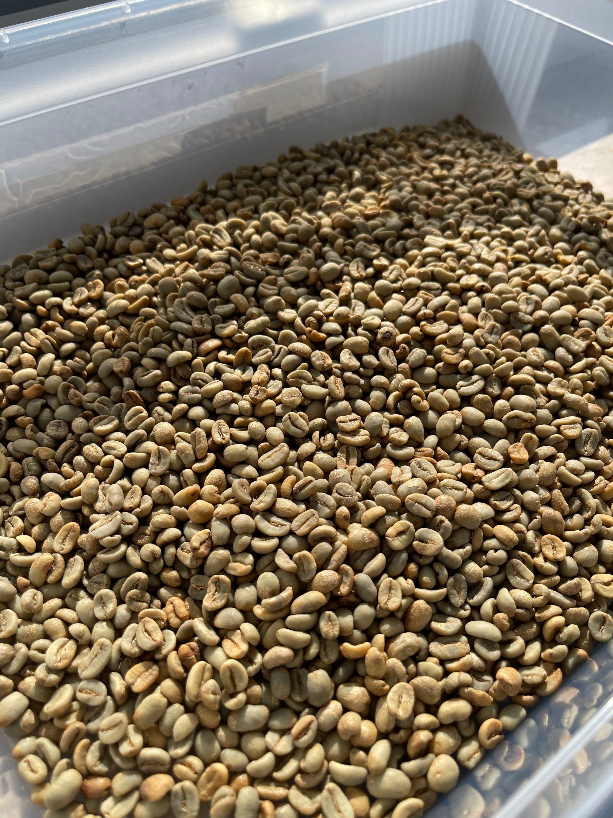 Tambakan, Java – Anaerobic Natural Arabica