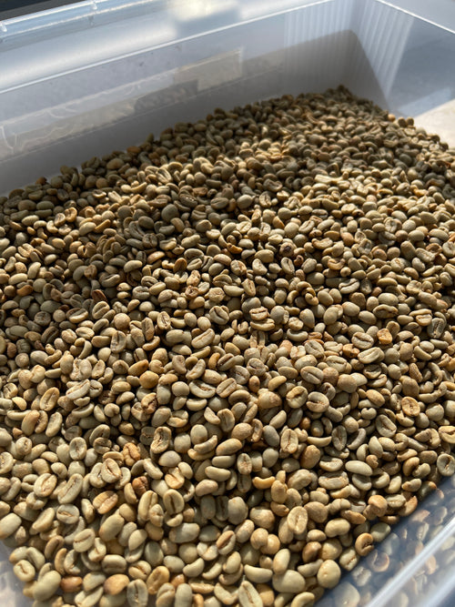 Tambakan, Java – Anaerobic Natural Arabica