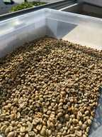 Tambakan, Java – Anaerobic Natural Arabica
