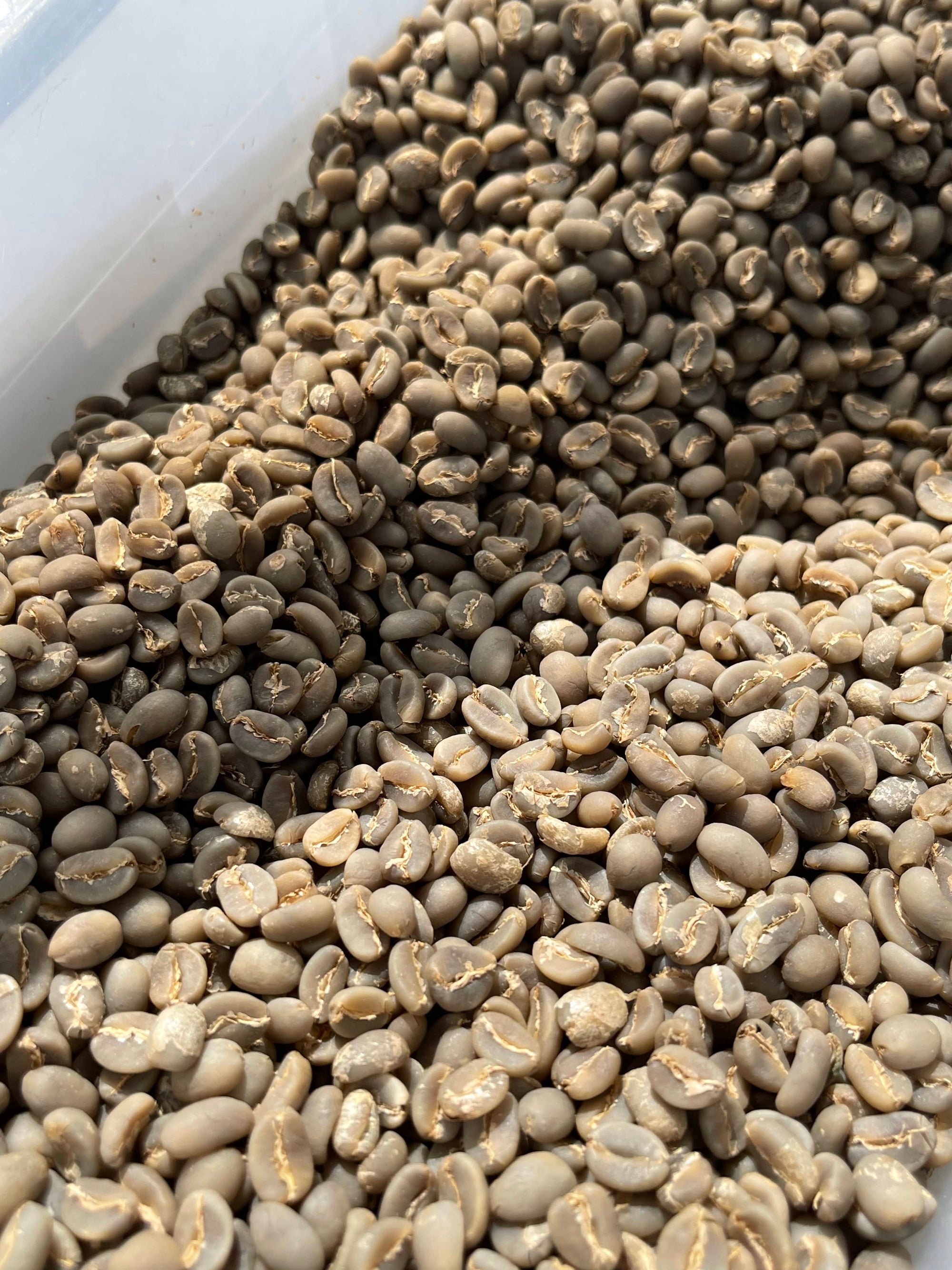 Tambakan, Java – Semi Washed Arabica