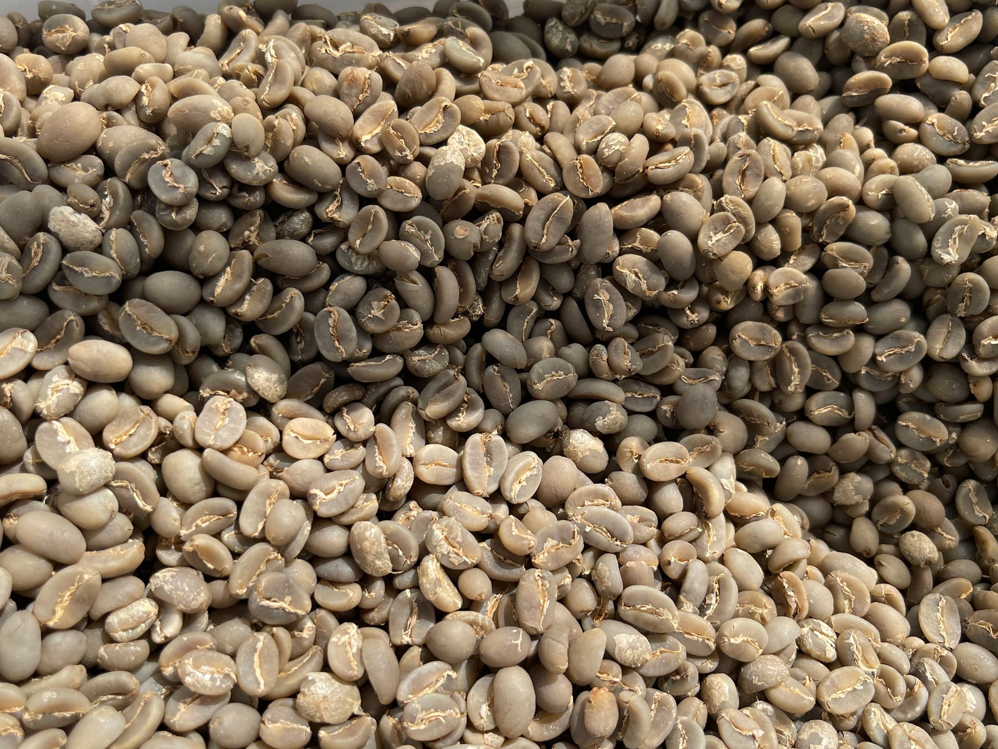 Tambakan, Java – Semi Washed Arabica
