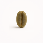 Tambakan, Java – Anaerobic Natural Arabica