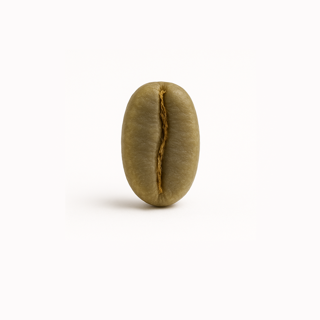 Tambakan, Java – Anaerobic Natural Arabica