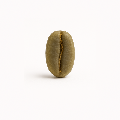 Tambakan, Java – Anaerobic Natural Arabica