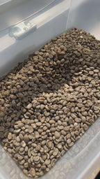 Tambakan, Java – Semi Washed Arabica