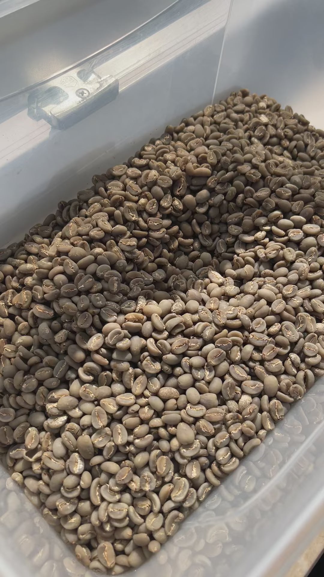 Tambakan, Java – Semi Washed Arabica
