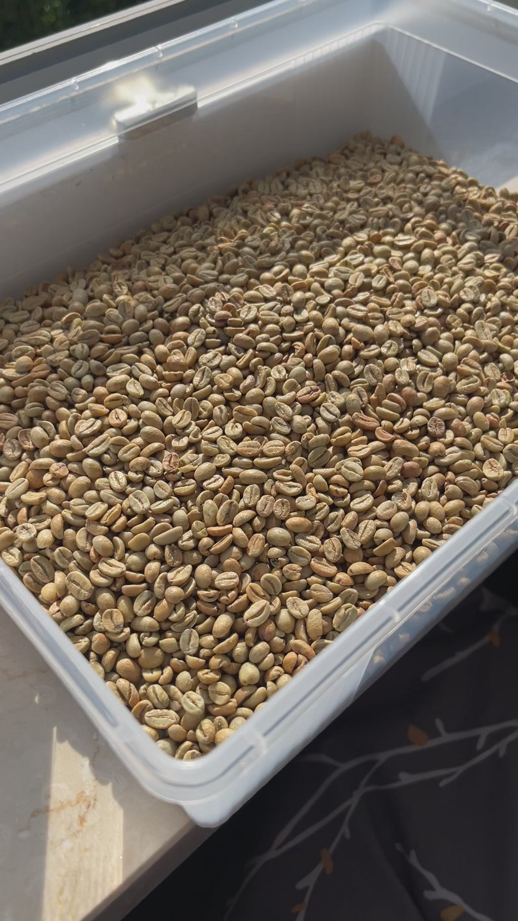 Tambakan, Java – Anaerobic Natural Arabica