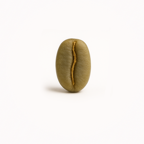 Tambakan, Java – Semi Washed Arabica