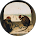 Customer review avatar